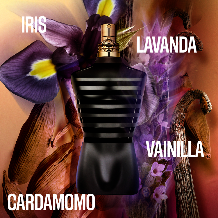 Le Male Le Parfum - Eau De Parfum, una elegancia dueña de una estela ámbar amaderada