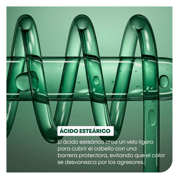 Colorlast - Acondicionador, vitaliza el cabello teñido y repara daño