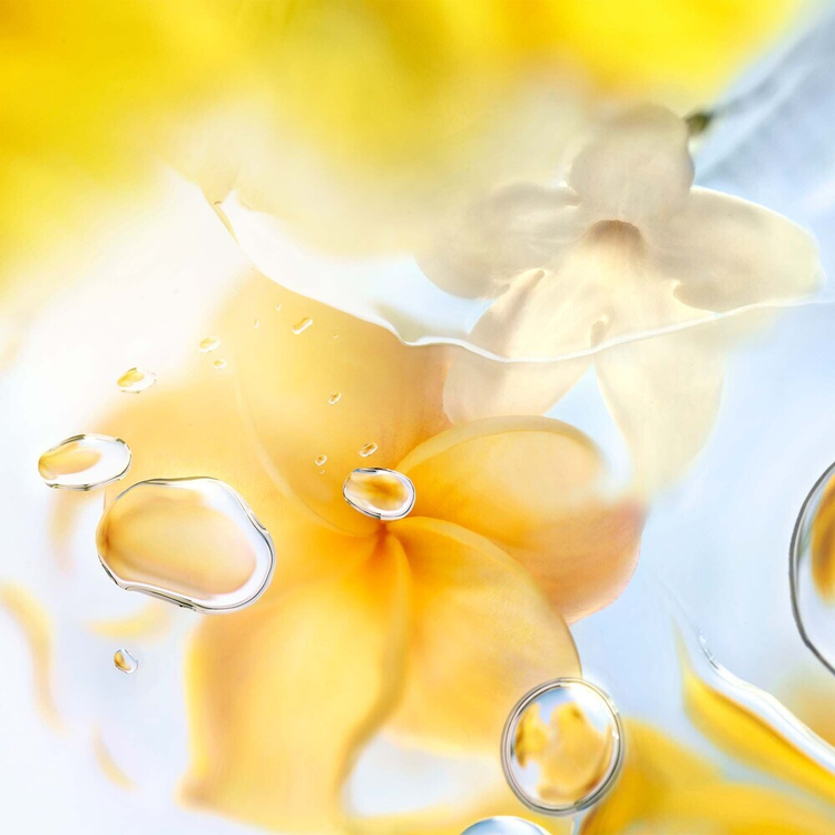 Les Ô Off Now - Eau de Toilette, fragancia floral