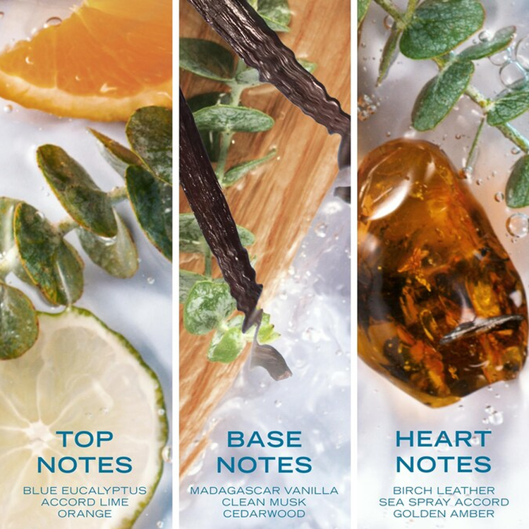 Nautica Pure Blue Eau De Toilette Perfume para hombre