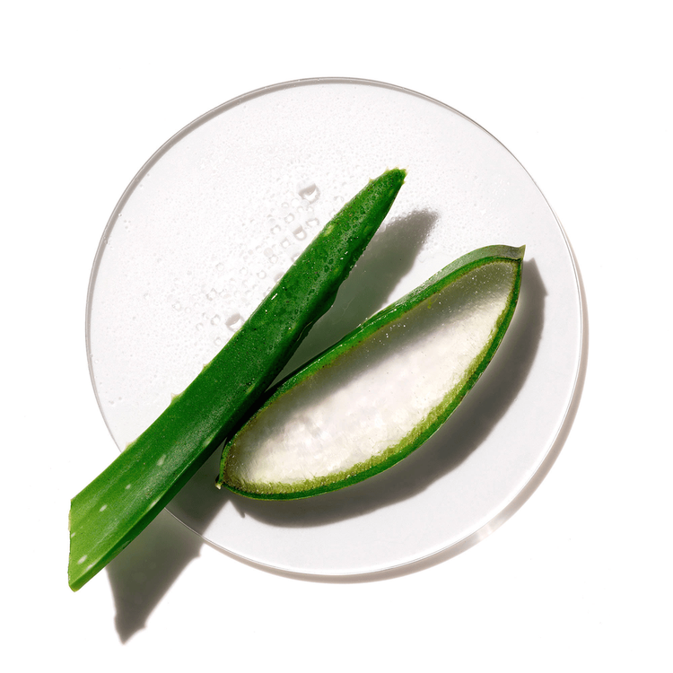 Moisture Surge™ Hydrating Supercharged Concentrate Gel hidratante refresca e hidrata la piel