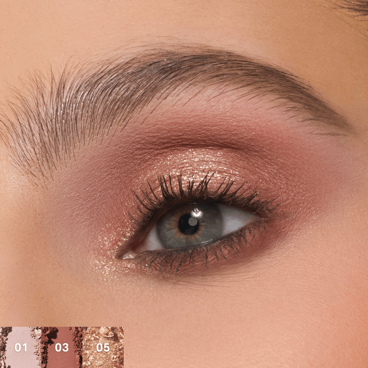 ChromaPlus 6-Pan - Paleta de sombras, larga duración