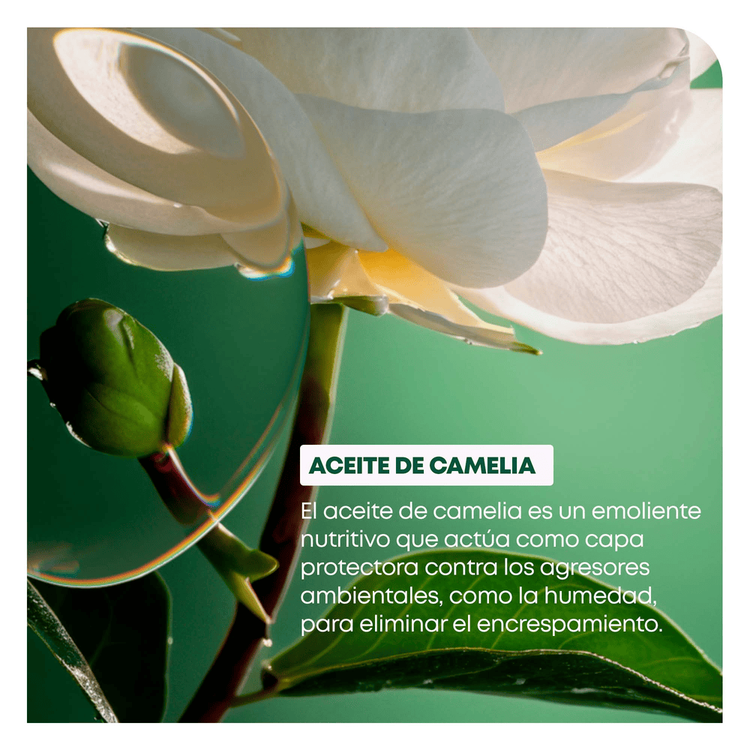 Smoothproof - Shampoo, controla el frizz para mayor manejabilidad