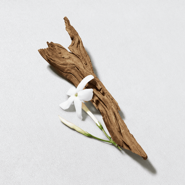 Acqua Di Giò - Eau De Toilette, fragancia masculina ligera y acuática