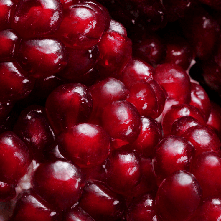 Nutriplenish Acondicionador hidrata y nutre el cabello seco y opaco