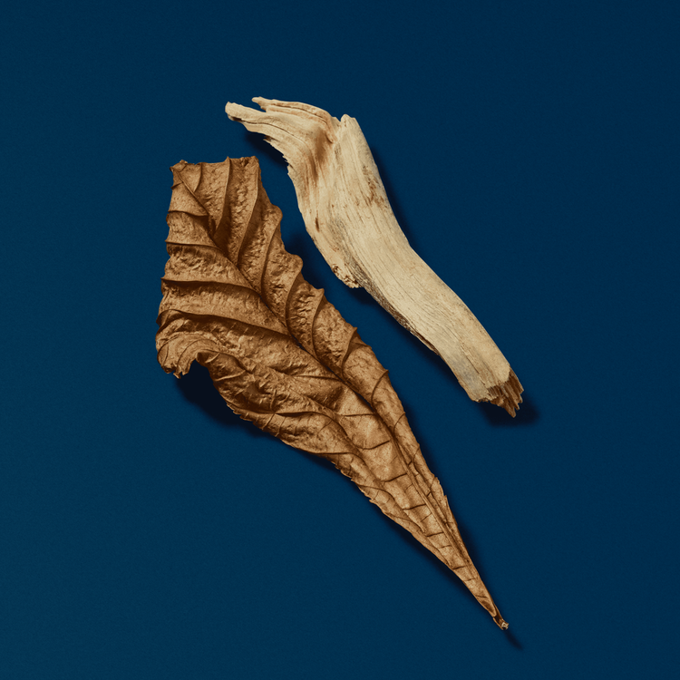 Acqua Di Giò Profondo - Eau De Parfum, posee una intensidad marina, profunda y acuática