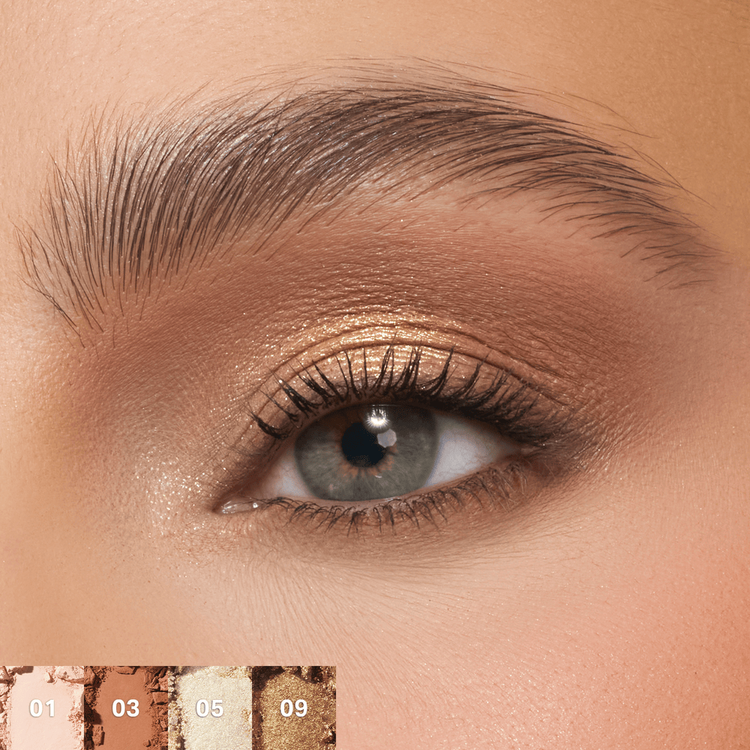 ChromaPlus 12-Pan - Paleta de sombras, larga duración