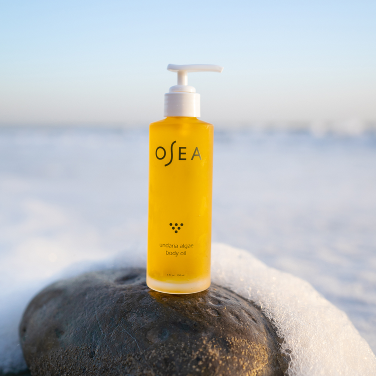 Undaria Algae - Aceite corporal, mejora la elasticidad de la piel