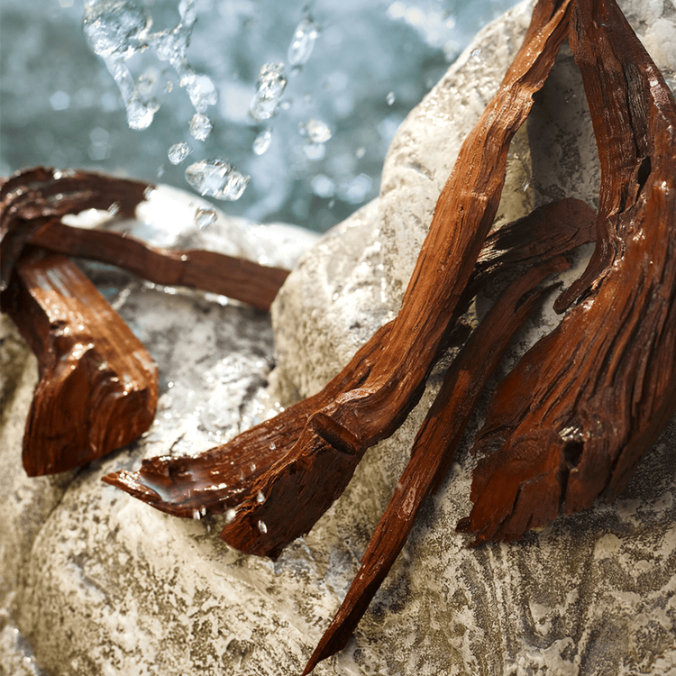 Light Blue Summer Vibes Perfume para mujer