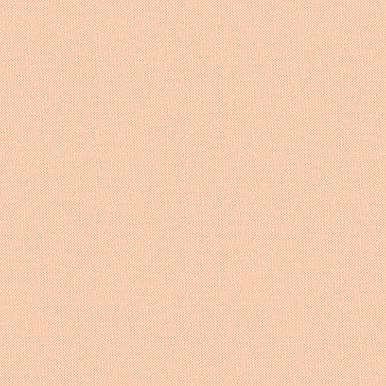 Stay-Matte Sheer Pressed Powder - Polvo compacto