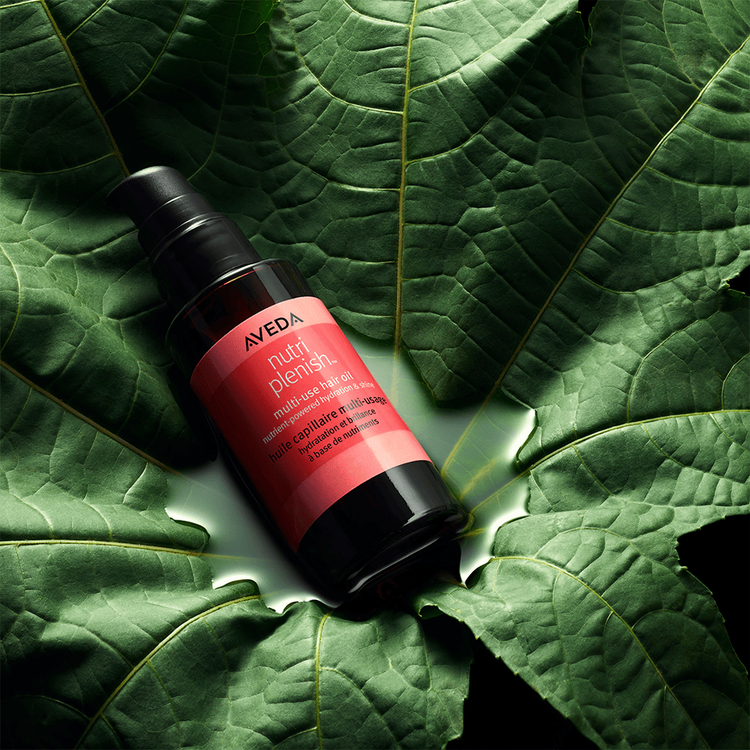 Nutriplenish Aceite para cabello hidrata y nutre el cabello seco