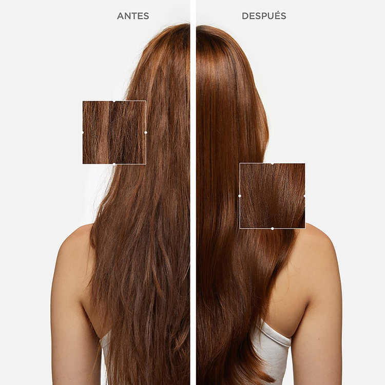 Premiere - Shampoo, reparador descalcificante para cabello dañado