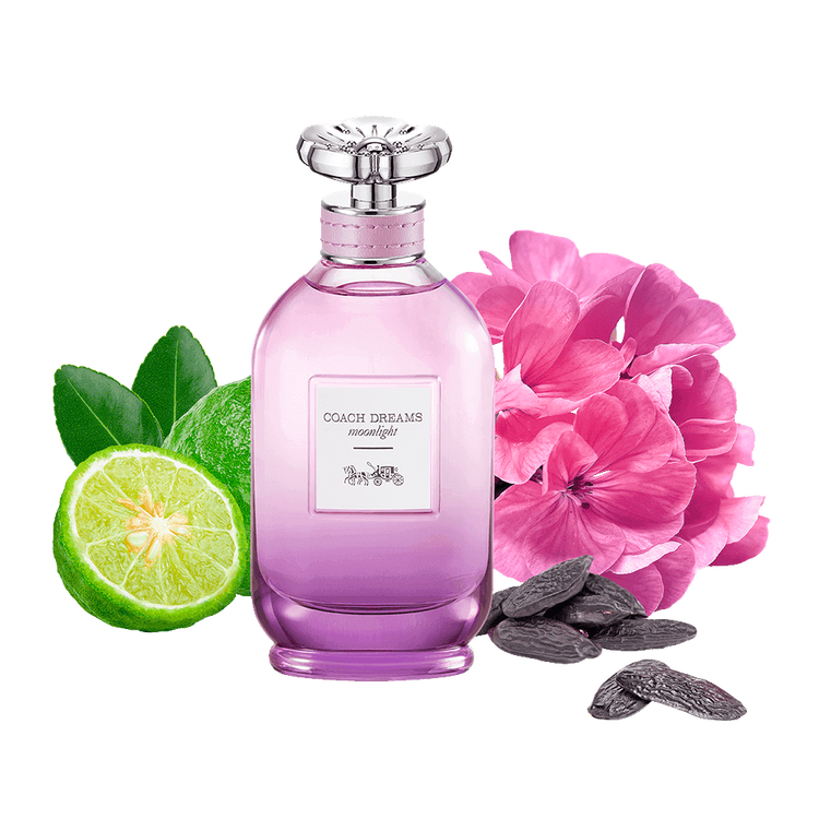 Dreams Perfume para mujer