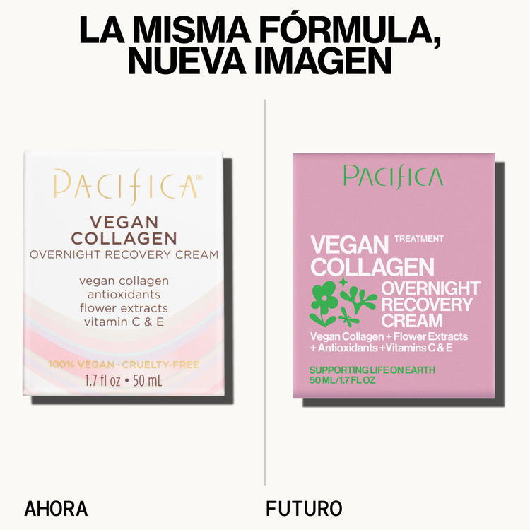Vegan Collagen Overnight Recovery Crema nocturna reparación nocturna