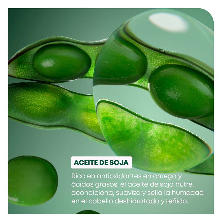 Colorlast - Shampoo, mantiene el color vibrante y repara el daño