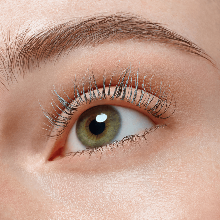 Lash Princess Máscara de pestañas efecto pre-máscara volumen y longitud