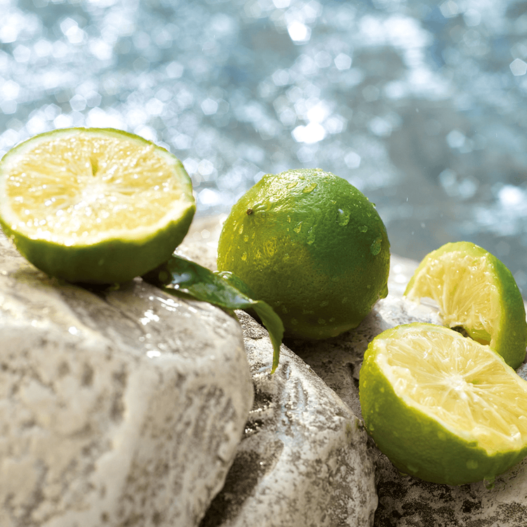 Light Blue Summer Vibes Perfume para mujer