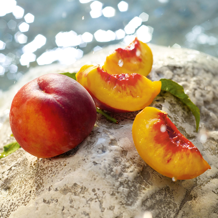 Light Blue Summer Vibes Perfume para mujer