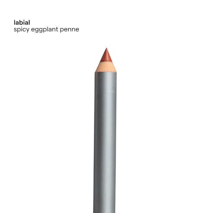 Labial Individual - Lápiz labial con pigmentación intensa y acabado profesional, 3 gr