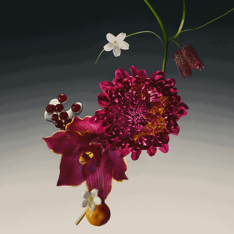 Dalia Absoluta - Set de regalo, parfum 120 ml + 10 ml + loción corporal 75 ml