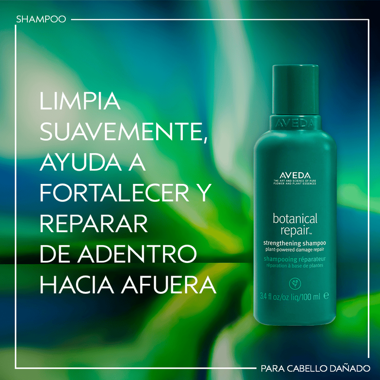 Botanical Repair Set de regalo reparación