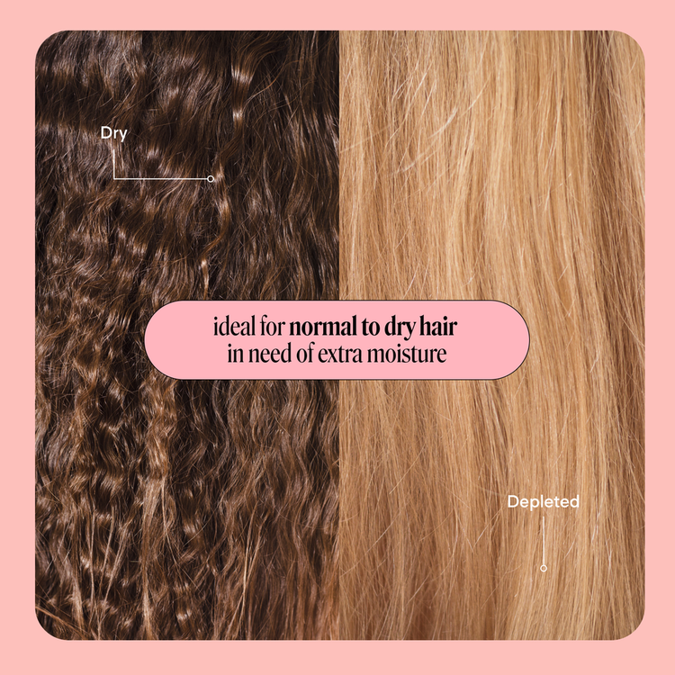 Moisture - Acondicionador, tamaño mini