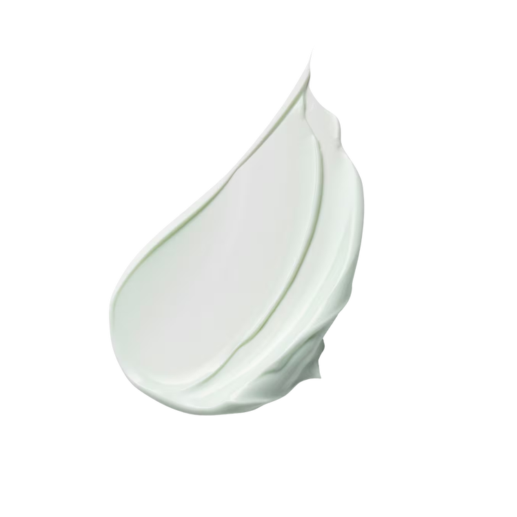 Daywear Advanced Multi-Protection Antioxidant 24H Cream Moisturizer Spf 15 Hidrante facial milti-protección fps15 antioxidante