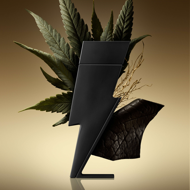 Bad Boy - Le Parfum, fragancia que te empodera