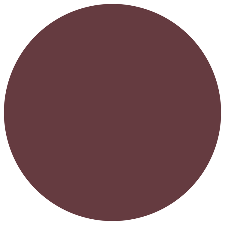 Pure Color Explicit Slick Shine - Labial en barra, con 8hrs de duración