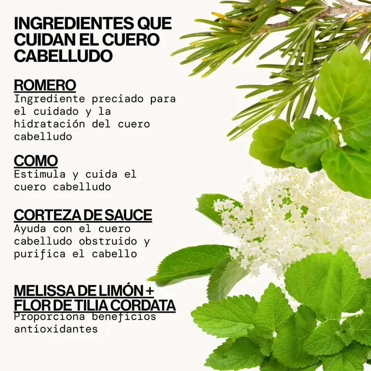 Rosemary Mint Scalp Love Foam - Shampoo, limpieza profunda