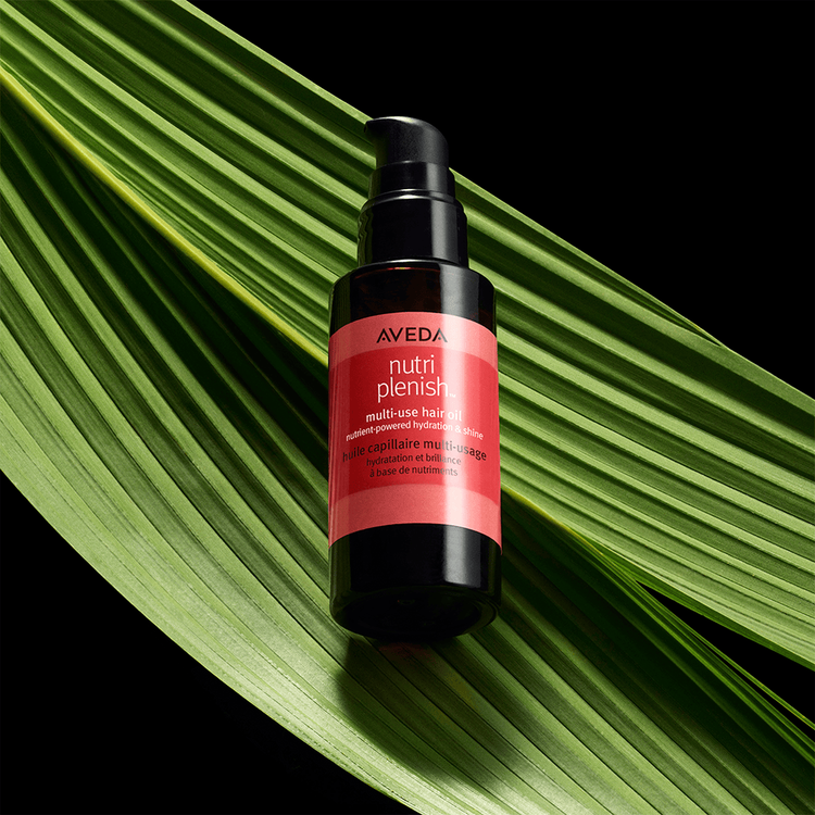 Nutriplenish Aceite para cabello hidrata y nutre el cabello seco