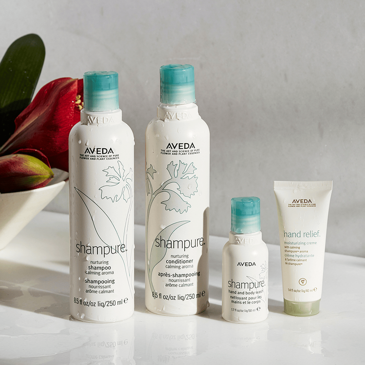 Shampure Shampoo limpia y nutre