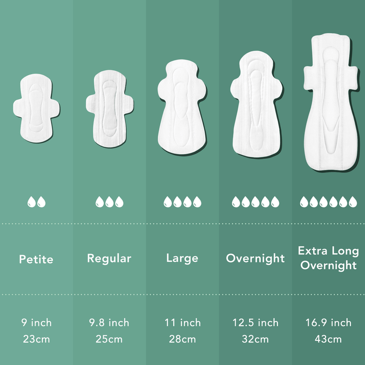 Regular Organic - Almohadillas de algodón, con alas súper absorbentes