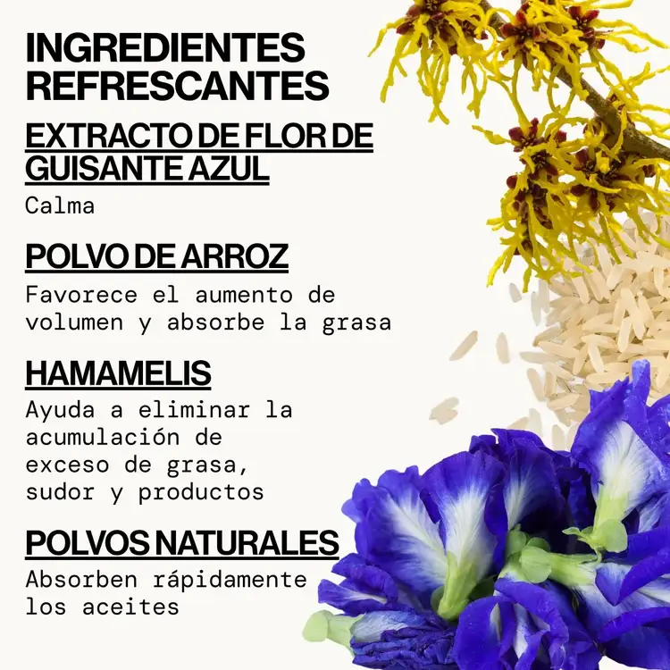 Best Day Ever Dry - Shampoo seco, voluminiza tu cabello