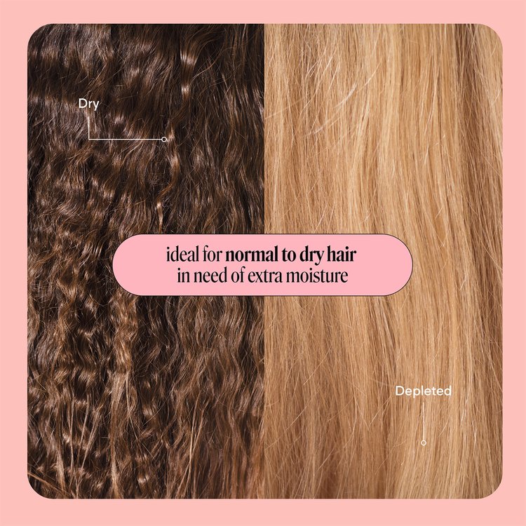 Moisture - Shampoo, nutre el cabello