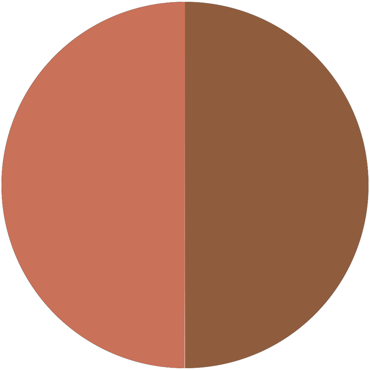 Blush & Bronze Hydro-Blur Cheek Dúo de rubor y bronceador acabado luminoso