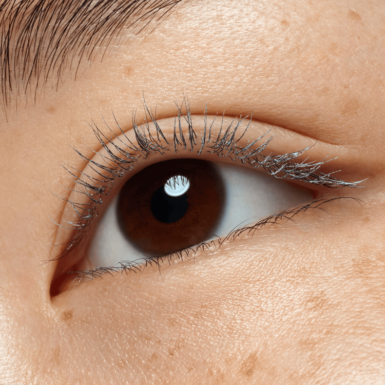 Lash Princess Máscara de pestañas efecto pre-máscara volumen y longitud