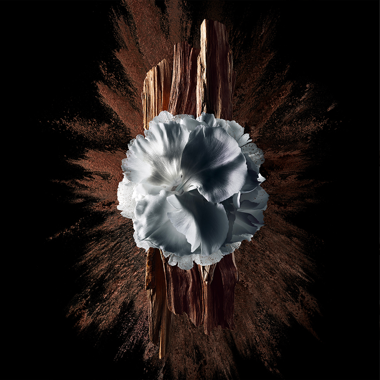 Gentleman Society - Eau de Parfum Extrême, Perfume para hombre