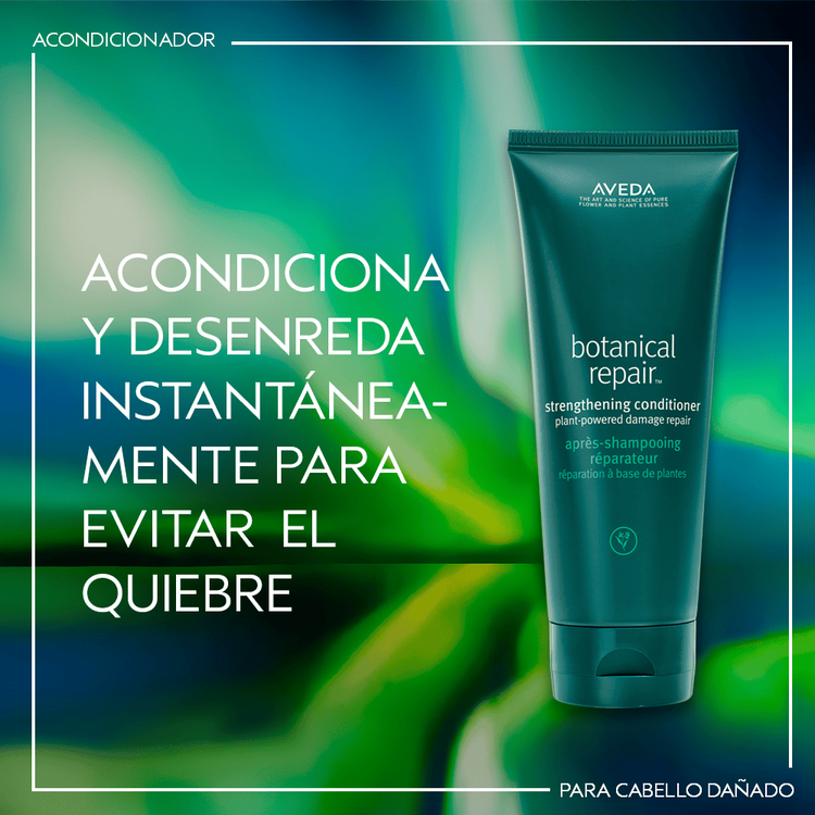 Botanical Repair Set de regalo reparación