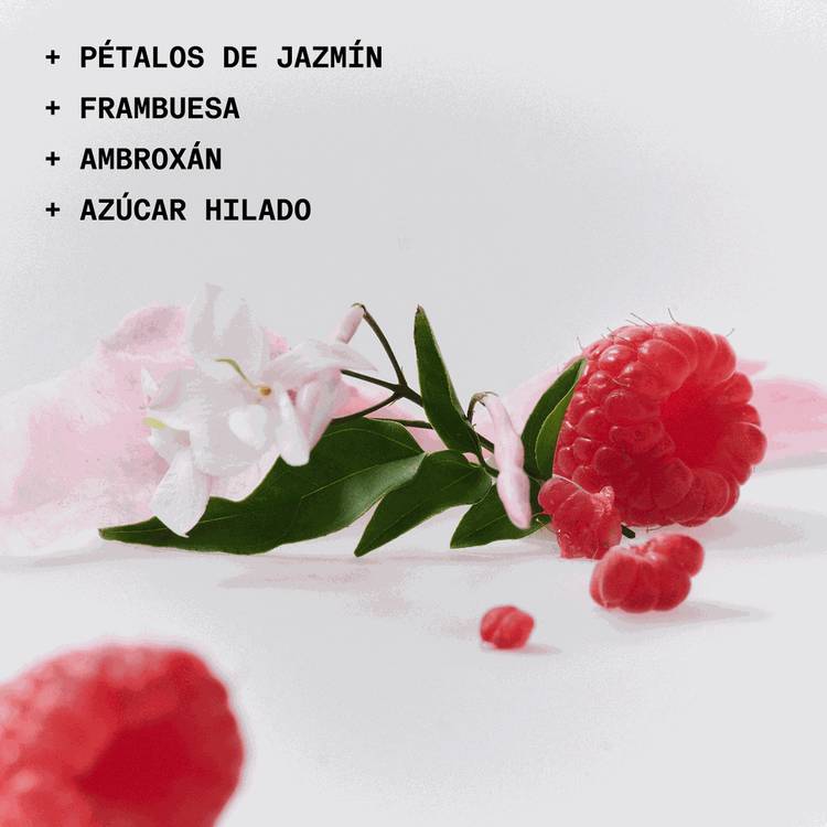 The Solid Fragrance - Sh**ty Day - Le Parfum, aroma concentrado