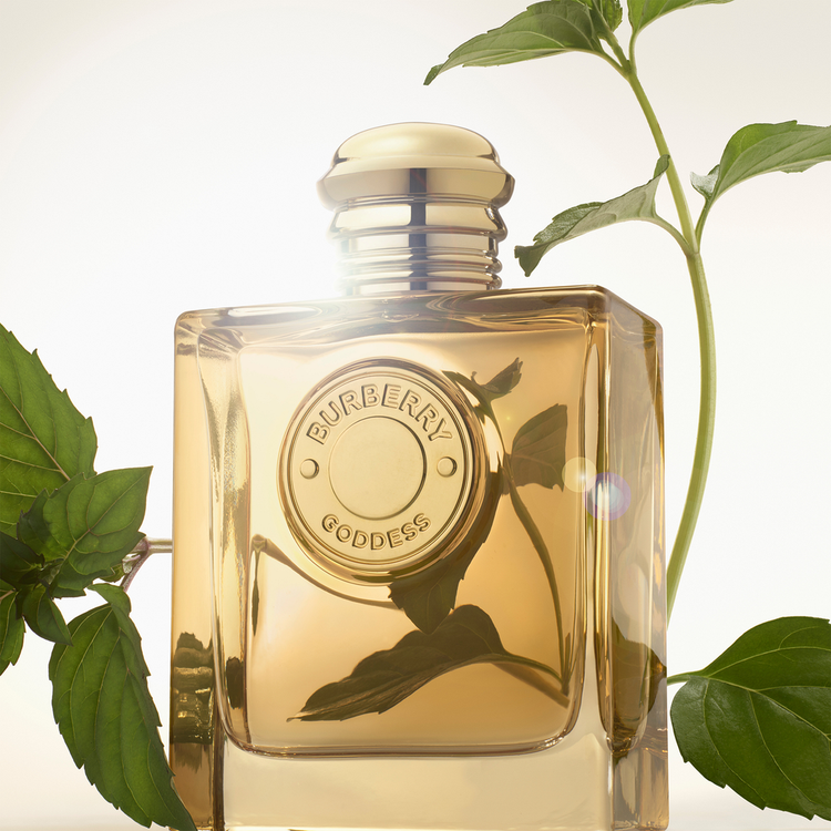 Goddess Intense - Eau De Parfum, para mujer