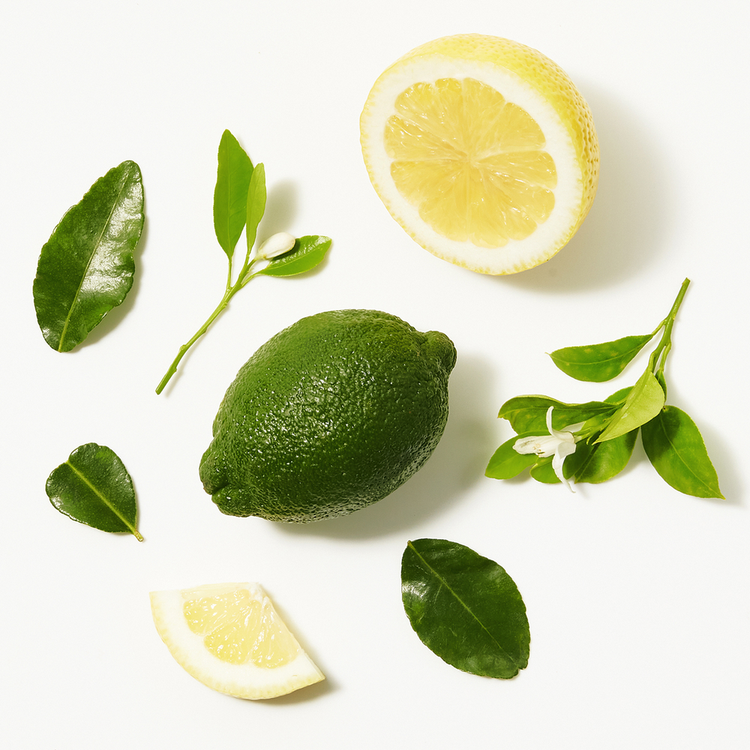 Clean Freak Shampoo en seco refrescante limpieza y frescura instantáneas para el cabello