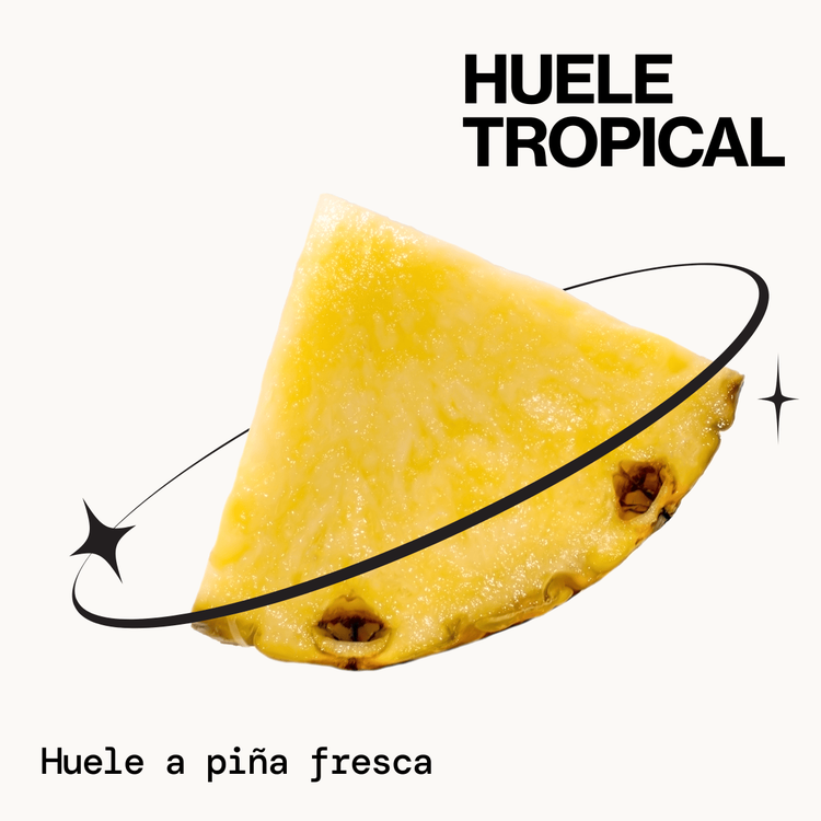 Frizz Control & Curl Reboot Mist - Tratamiento sin enjuague, ideal para rizos