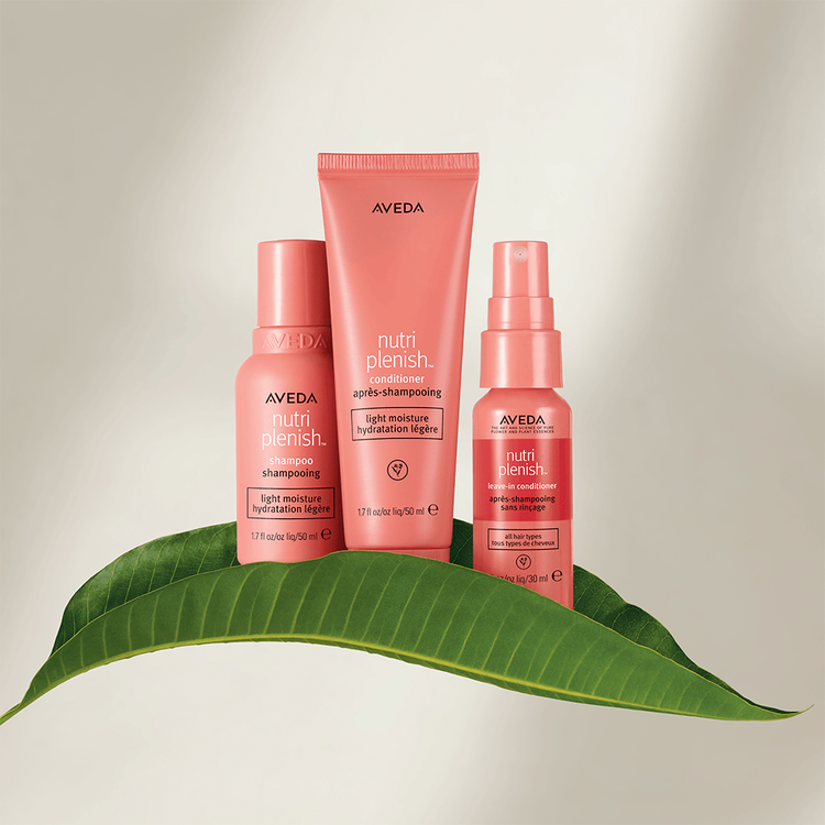 Nutriplenish Shampoo hidrata y nutre el cabello seco