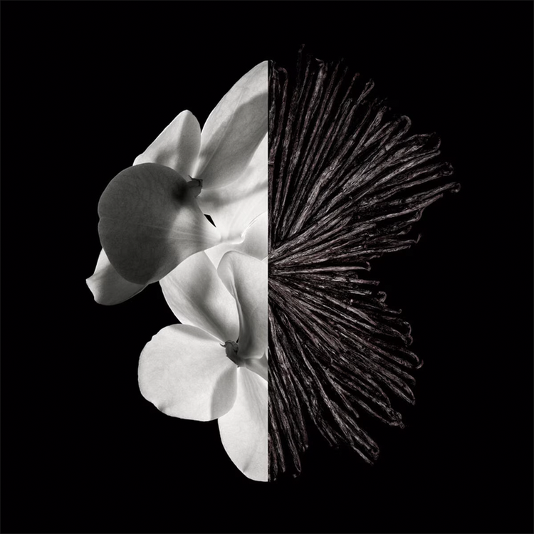 Gentleman Givenchy - Eau De Parfum, Perfume para hombre