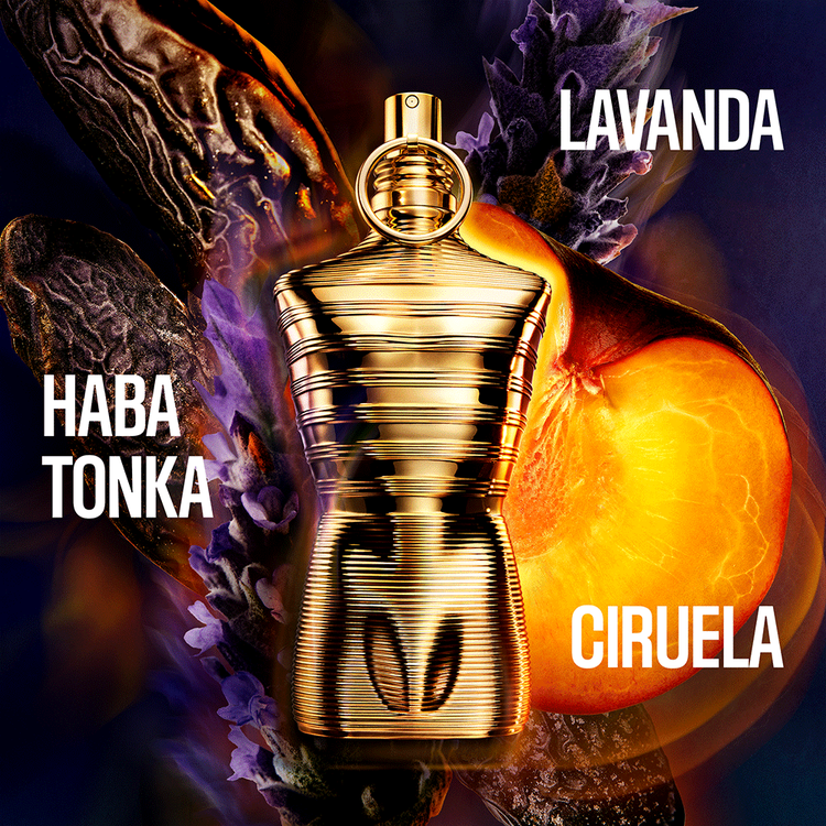 Le Male Elixir Absolu - Parfum, aroma ámbar amaderado