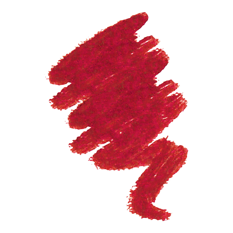 Color Statement - Delineador de labios, color intenso y definición precisa