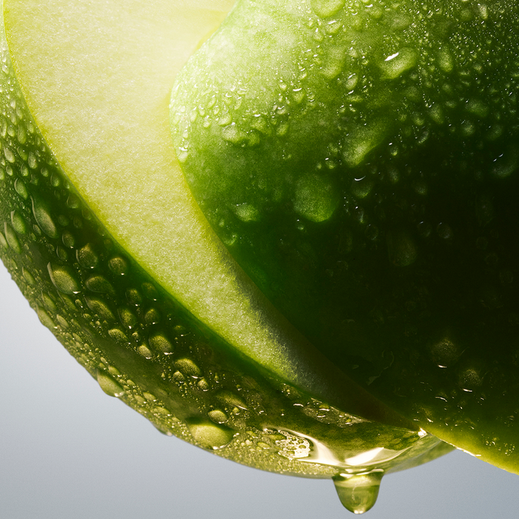 Boss Bottled Eau De Toilette Perfume para hombre