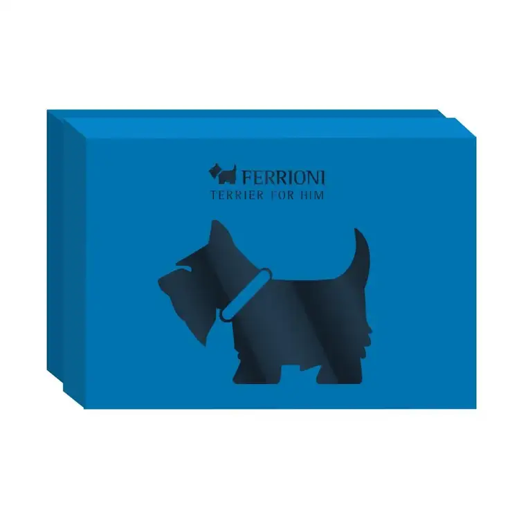 Terrier for Him - Set de regalo, Eau de Parfum + shower gel + mini spray