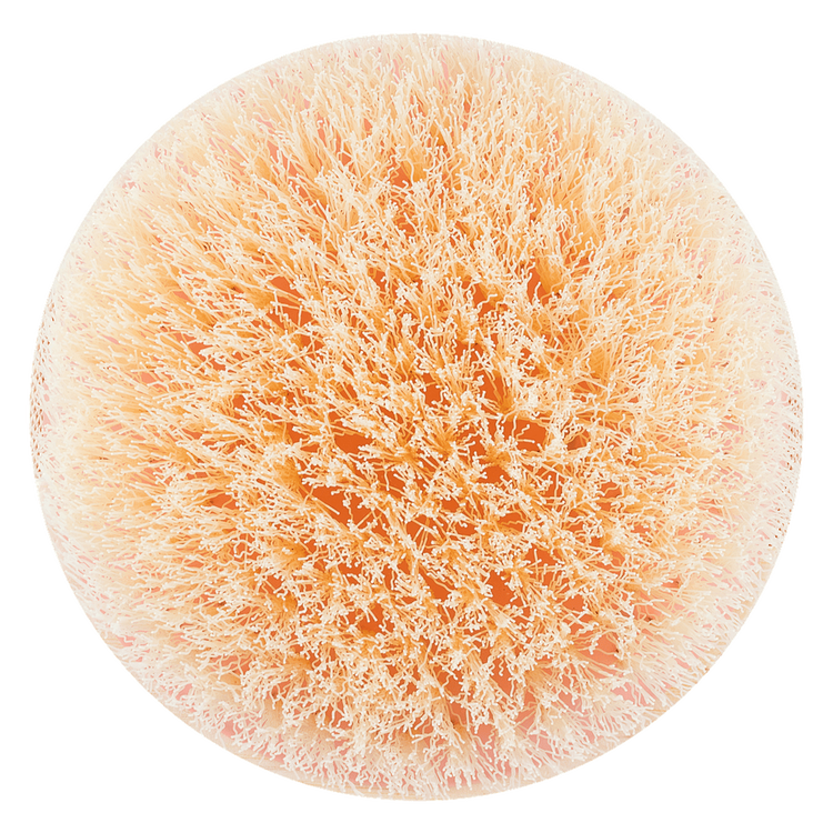 Eco Tools Dry Brush - Cepillo corporal, para exfoliación en seco